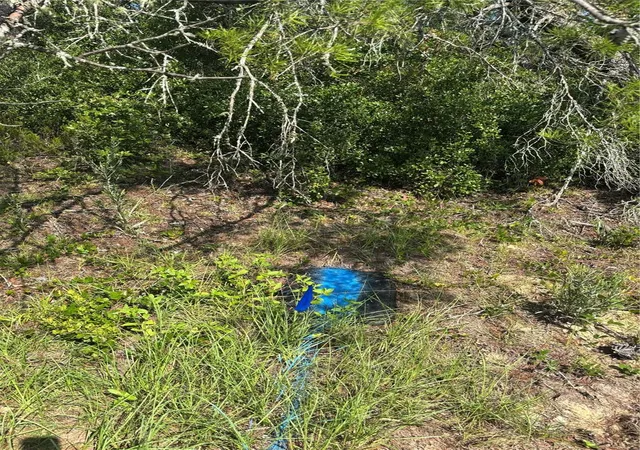 Photo 3 of Land for sale at 16698 Sw 21st Circle, Ocala, FL 34473 | MLS# O6419507 | Listing updated on 2026-07-29
