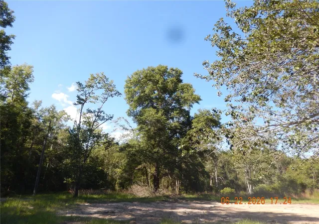 Homes for sale in Fort White, FL | 761 Sw Sunview St, Fort White, FL 32038 | MLS# GC541421