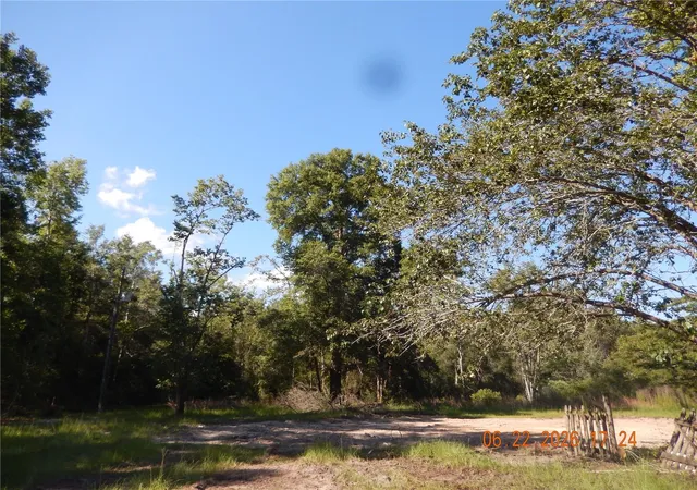 Homes for sale in Fort White, FL | 761 Sw Sunview St, Fort White, FL 32038 | MLS# GC541421