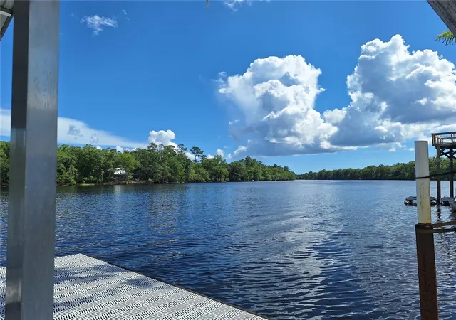 Homes for sale in Fanning Springs, FL | 8213 Riverview Rd, Fanning Springs, FL 32693 | MLS# GC541424