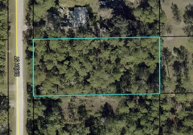 Homes for sale in Bunnell, FL | 1115 Birch St, Bunnell, FL 32110 | MLS# FC319486