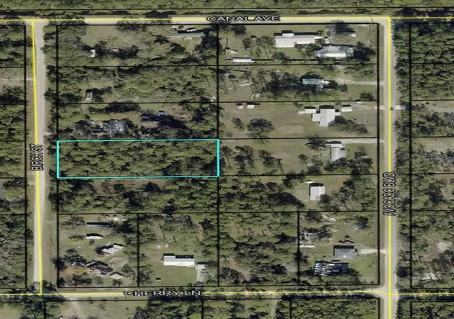 Homes for sale in Bunnell, FL | 1115 Birch St, Bunnell, FL 32110 | MLS# FC319486