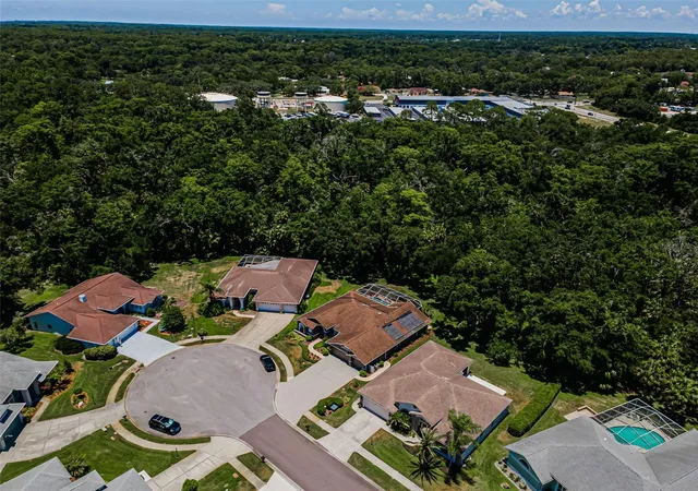 3rd image of 6646 Garden Palm Ct, New Port Richey, FL 34655 | MLS# W7887023