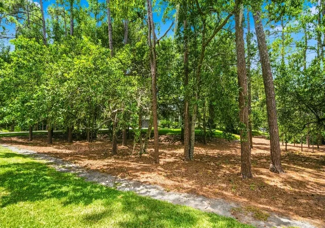 53rd image of 418 Pine Bluff Dr, Lutz, FL 33549 | MLS# TB8522774