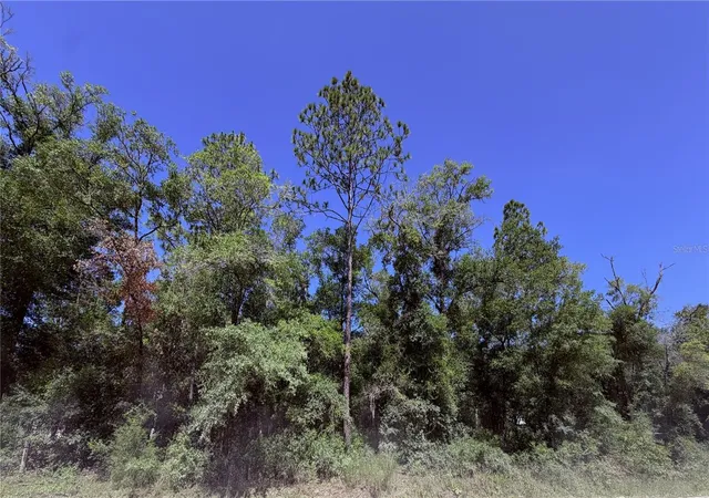 Homes for sale in Bronson, FL | 0 Ne 90th Ave #LOT 14-A, Bronson, FL 32621 | MLS# GC541436