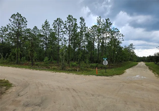 Photo 2 of Land for sale at 231 Se 146th Terrace, Williston, FL 32696 | MLS# OM727308 | Listing updated on 2026-07-29