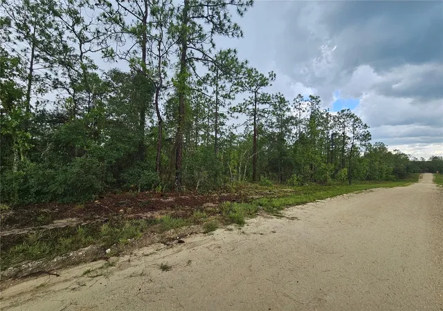 Photo 3 of Land for sale at 231 Se 146th Terrace, Williston, FL 32696 | MLS# OM727308 | Listing updated on 2026-07-29