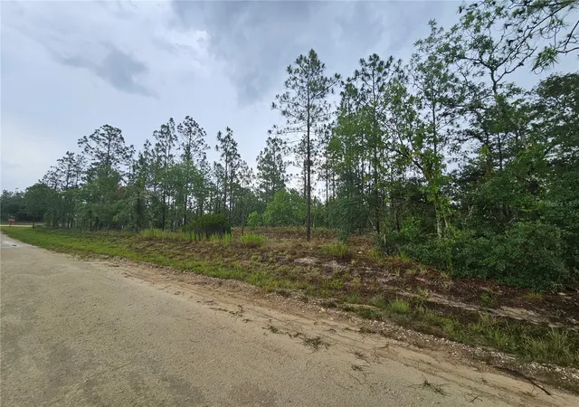 Photo 3 of Land for sale at 231 SE 146th Terrace, Williston, FL 32696 | MLS# OM727308 | Listing updated on 2026-07-29