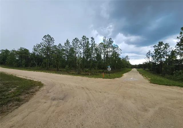 Photo 4 of Land for sale at 231 SE 146th Terrace, Williston, FL 32696 | MLS# OM727308 | Listing updated on 2026-07-29