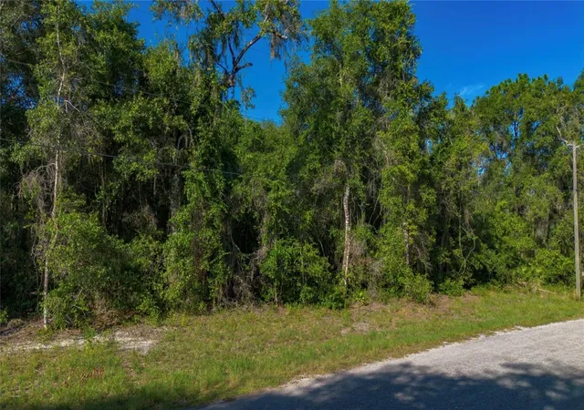 Photo 2 of Land for sale at 4374 E Mate Ln, Hernando, FL 34442 | MLS# S5152465 | Listing updated on 2026-06-29