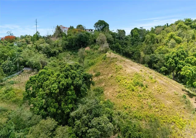 Homes for sale in Toa Alta, PR | Carr 827 Km 50, Interior, Bo Ortiz, Lot 1 & 2, Toa Alta, PR 00953 | MLS# PR9122306