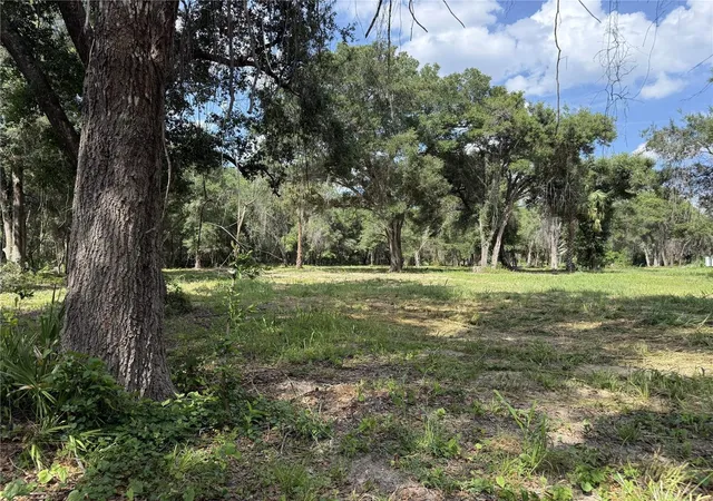 1st image of 620 Cochran Rd, Geneva, FL 32732 | MLS# O6419713