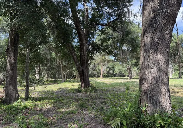 3rd image of 620 Cochran Rd, Geneva, FL 32732 | MLS# O6419713