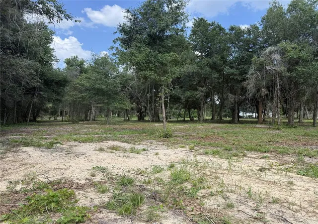 4th image of 620 Cochran Rd, Geneva, FL 32732 | MLS# O6419713