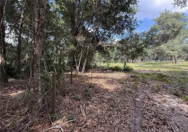 5th image of 620 Cochran Rd, Geneva, FL 32732 | MLS# O6419713