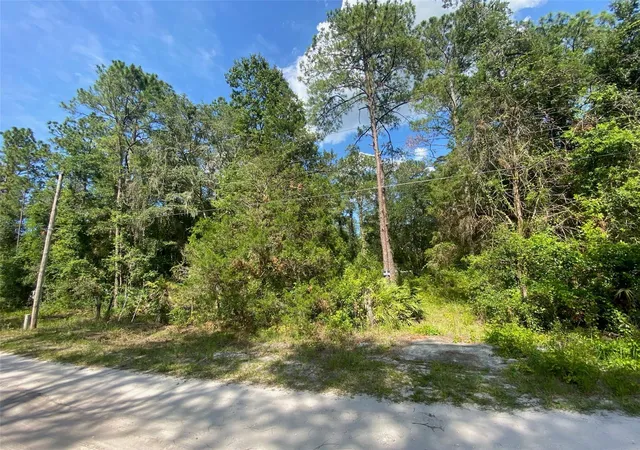 1st image of 13701 Ne 66th Ave, Citra, FL 32113 | MLS# OM727322