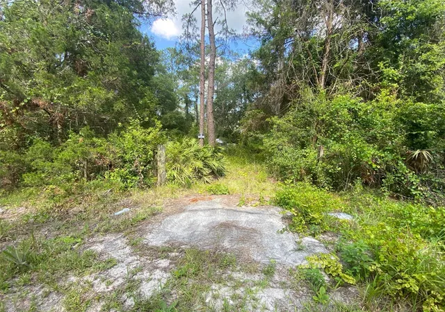 2nd image of 13701 Ne 66th Ave, Citra, FL 32113 | MLS# OM727322