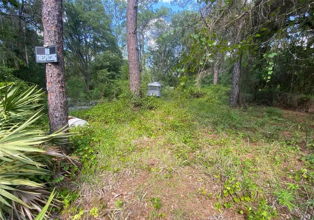 3rd image of 13701 Ne 66Th Ave, Citra, FL 32113 | MLS# OM727322