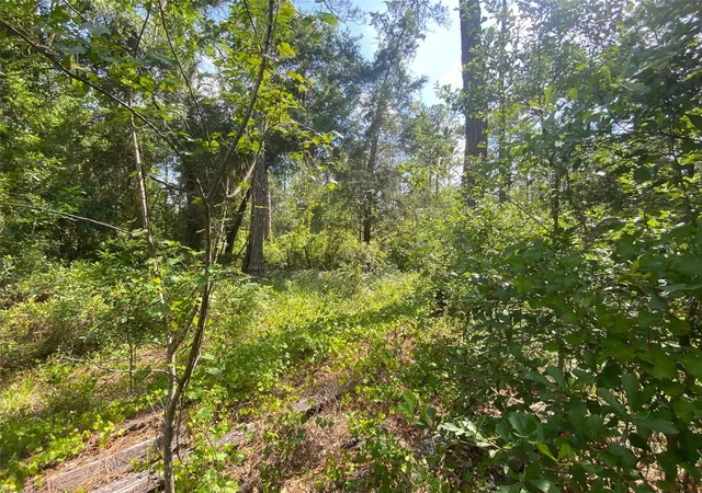 5th image of 13701 Ne 66Th Ave, Citra, FL 32113 | MLS# OM727322