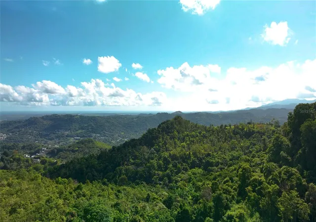 Homes for sale in Gurabo, PR | Pr181 Km 533 Sector La Silla Carr 941, Gurabo, PR 00778 | MLS# PR9122309