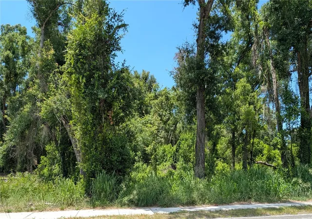 1st image of 9055 Joe Ebert Rd, Seffner, FL 33584 | MLS# TB8522943