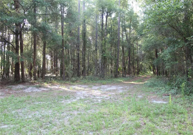 4th image of 15821 Sw 50Th Ave, Archer, FL 32618 | MLS# GC541453