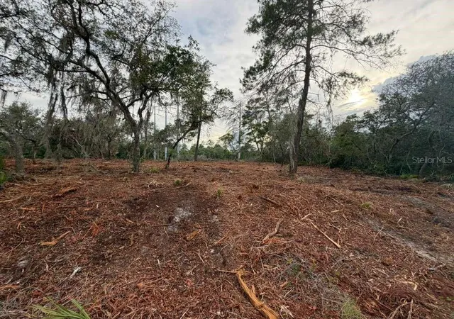 1st image of Sequoia Trl, Ocklawaha, FL 32179 | MLS# O6419799