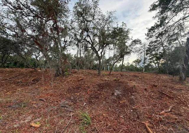 2nd image of Sequoia Trl, Ocklawaha, FL 32179 | MLS# O6419799