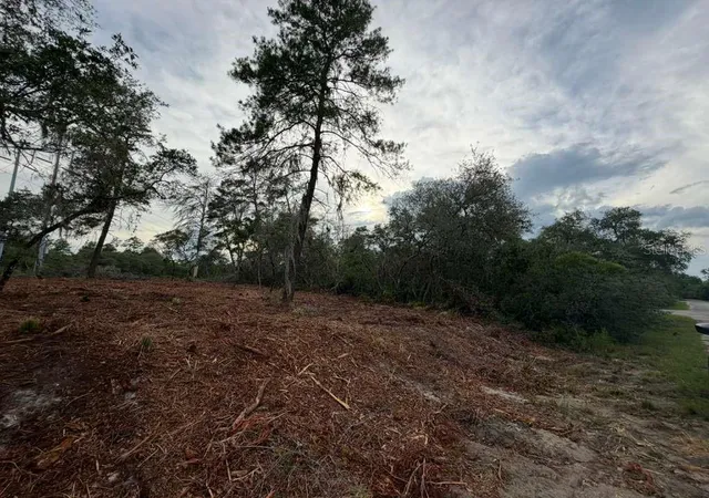3rd image of Sequoia Trl, Ocklawaha, FL 32179 | MLS# O6419799