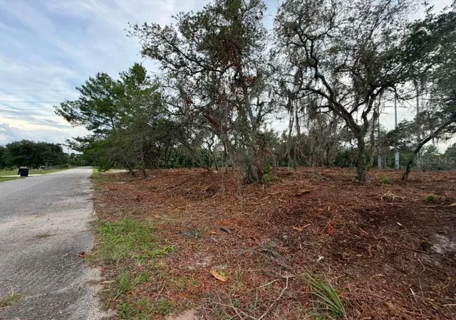 5th image of Sequoia Trl, Ocklawaha, FL 32179 | MLS# O6419799