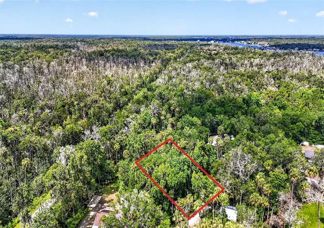 Homes for sale in Homosassa, FL | 4626 S Flambeau Loop, Homosassa, FL 34448 | MLS# OM727352