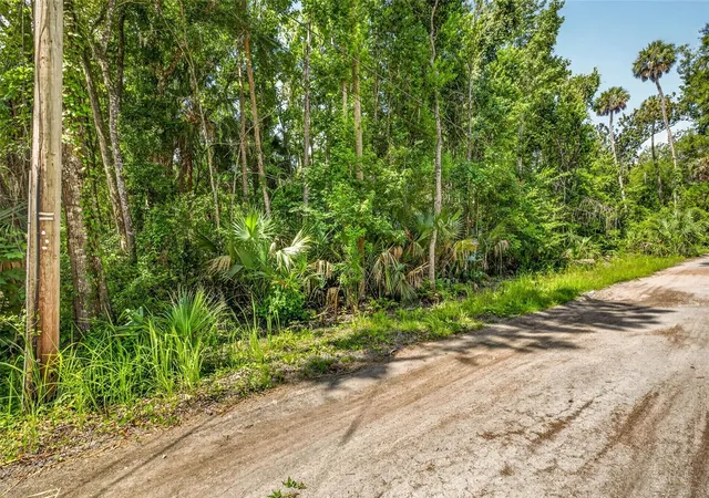 Homes for sale in Homosassa, FL | 4626 S Flambeau Loop, Homosassa, FL 34448 | MLS# OM727352