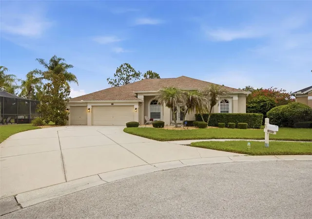 1st image of 25651 Ferdinand Ct, Wesley Chapel, FL 33544 | MLS# TB8523142