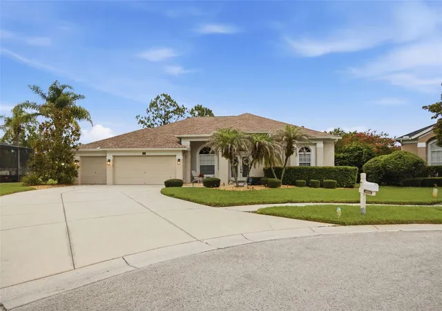 66th image of 25651 Ferdinand Ct, Wesley Chapel, FL 33544 | MLS# TB8523142