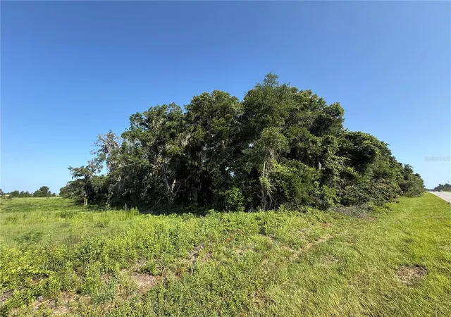 Photo 3 of Land for sale at Xx SW 80th Avenue, Ocala, FL 34476 | MLS# O6419889 | Listing updated on 2026-08-13