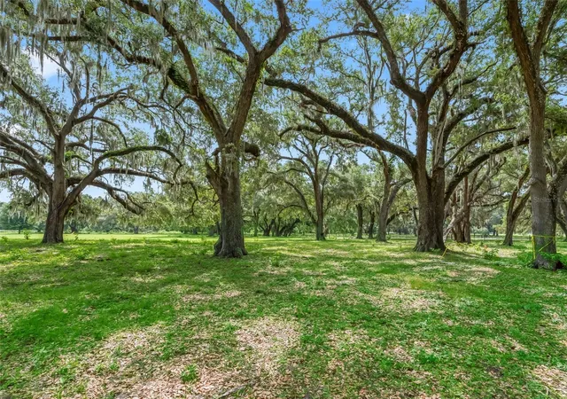 1st image of Lot 12 Cr 543, Bushnell, FL 33513 | MLS# TB8523193