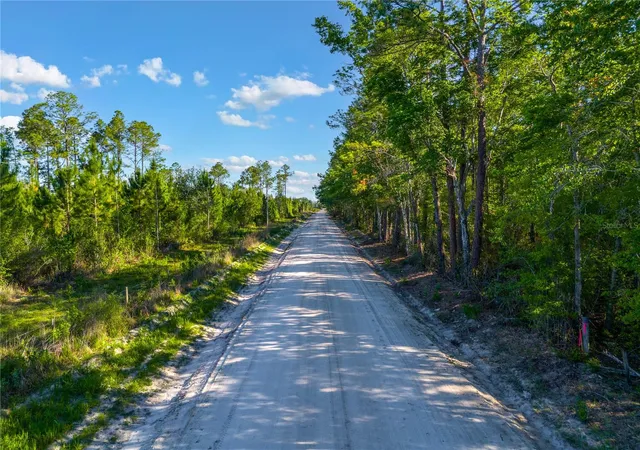 2nd image of Sw 126th Ave, Lake Butler, Lake Butler, FL 32054 | MLS# GC541468