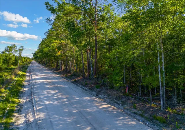 4th image of Sw 126Th Ave, Lake Butler, Lake Butler, FL 32054 | MLS# GC541468