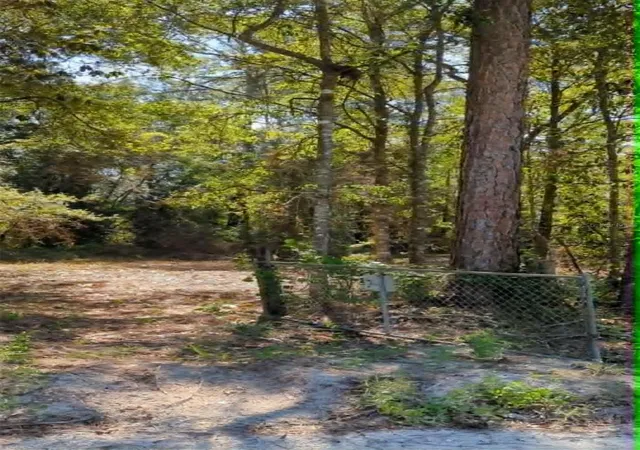 8th image of Sw 126th Ave, Lake Butler, Lake Butler, FL 32054 | MLS# GC541468