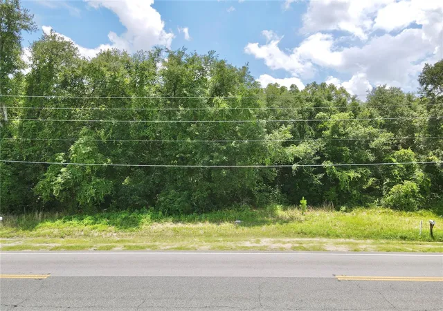 Homes for sale in Weirsdale, FL | Se Hwy 42, Weirsdale, FL 32195 | MLS# OM727397