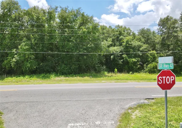 Homes for sale in Weirsdale, FL | Se Hwy 42, Weirsdale, FL 32195 | MLS# OM727397
