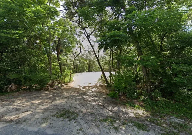 1st image of 2980 N Sparkman Ave, Orange City, FL 32763 | MLS# TB8523310