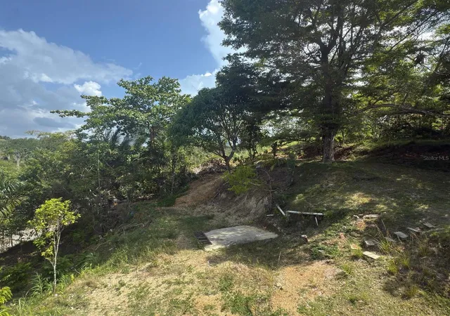 Homes for sale in Camuy, PR | Carr 456 Km 13 Int Barrio Guajataca Sector Puertos, Camuy, PR 00627 | MLS# PR9122329