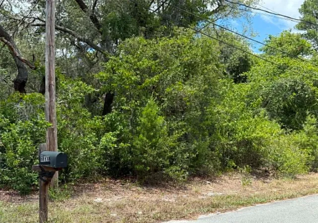 Photo 3 of Manufactured home for sale at 10051 Waddell St, New Port Richey, FL 34654 | MLS# TB8523363 | Listing updated on 2026-08-31