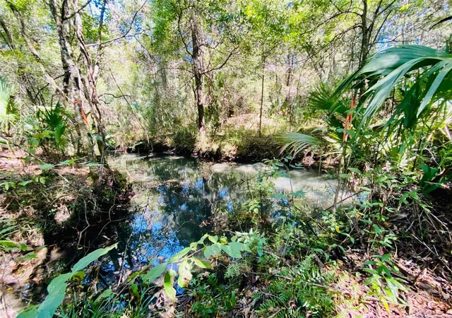 2nd image of 9302 W Tall Pines Ct, Crystal River, FL 34428 | MLS# W7887073