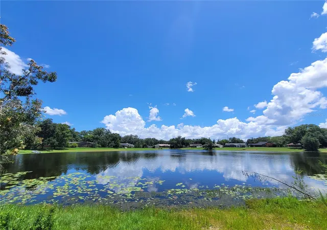 Single family home for sale at 708 Warren Rd, LUTZ, FL 33548 | MLS# TB8523396