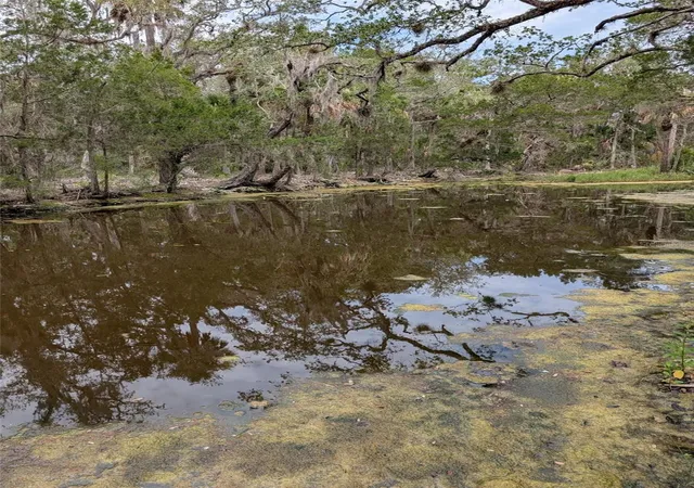 2nd image of 0 Se Camp B Rd, Cedar Key, FL 32625 | MLS# OM727424