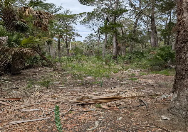 Photo 3 of Land for sale at 0 Se Bee Tree Rd, Cedar Key, FL | MLS# OM727424 | Listing updated on 2026-08-13