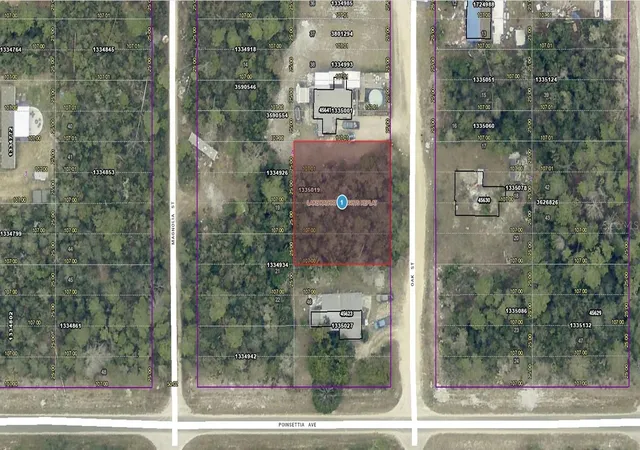 Homes for sale in Paisley, FL | 14 17 28 0200 004 04100 Oak St, Paisley, FL 32767 | MLS# A4698181
