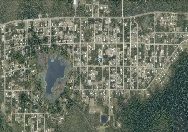 Homes for sale in Paisley, FL | 14 17 28 0200 004 04100 Oak St, Paisley, FL 32767 | MLS# A4698181